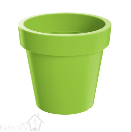 DONICZKA LOFLY LIMONKA