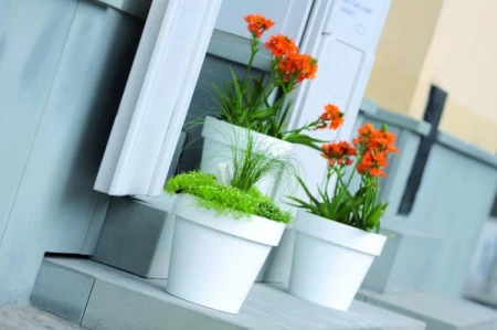 DONICZKA LOFLY LIMONKA 2