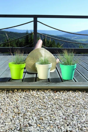 DONICZKA LOFLY LIMONKA 3