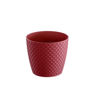 DONICZKA ORIENT MALINOWY