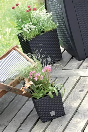 DONICZKA RATO LOW UMBRA 4