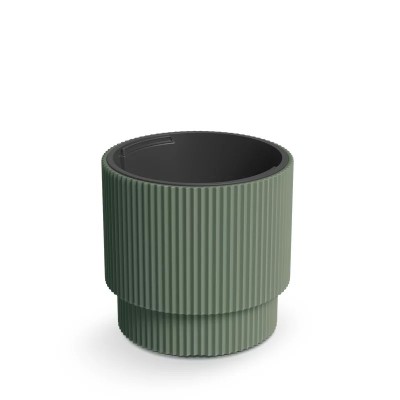 DONICZKA MILLY ZIELONA PINIA DBMIN