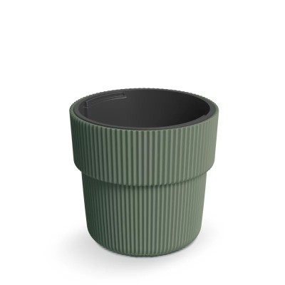 DONICZKA MILLY ZIELONA PINIA DBMIR