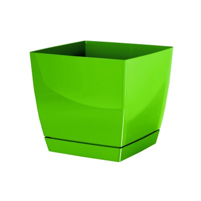 DONICZKA COUBI SQUARE P OLIWKA