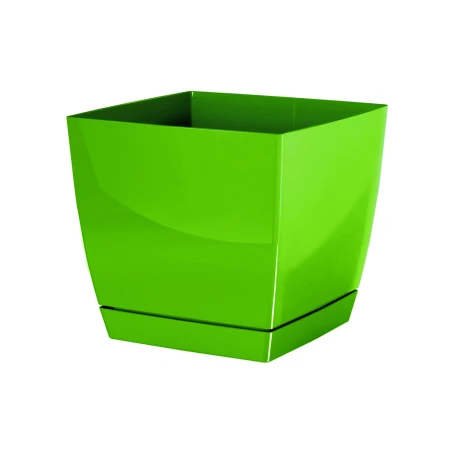 DONICZKA COUBI SQUARE P OLIWKA