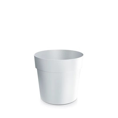 DONICZKA GROWER BIAŁY