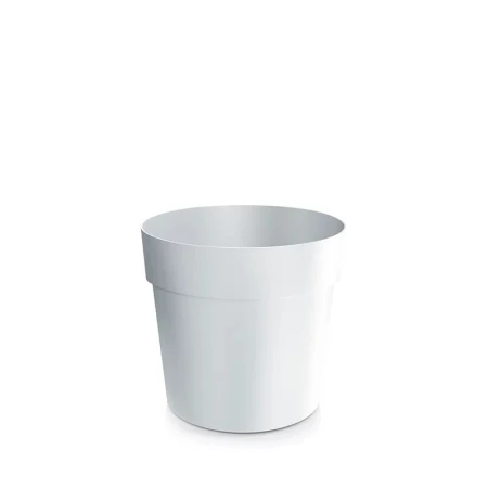 DONICZKA GROWER BIAŁY