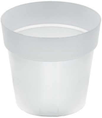 DONICZKA GROWER PRZEŹROCZYSTY