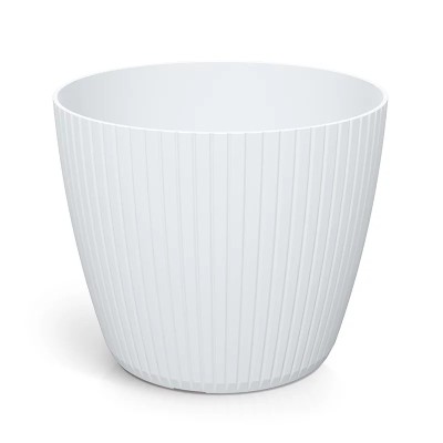 DONICZKA LAMIA BIAŁY