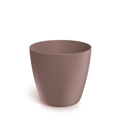 DONICZKA MATE MARSALA