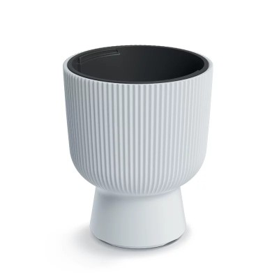 DONICZKA MILLY BIAŁY DBMIG