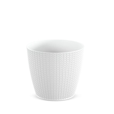 DONICZKA WHEATY BIAŁY