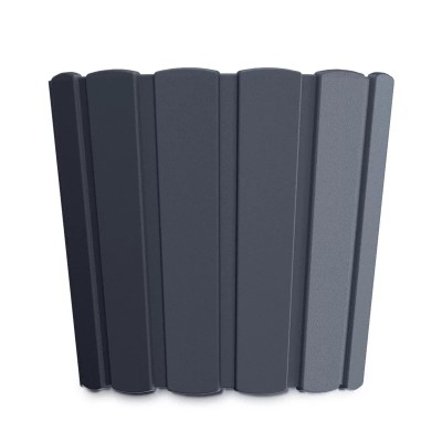 DONICZKA BOARDEE BASIC ANTRACYTOWY