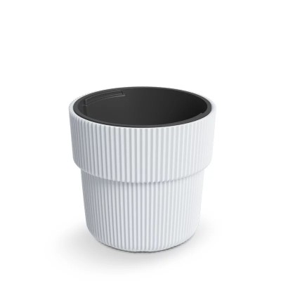 DONICZKA MILLY BIAŁY DBMIR