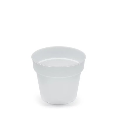 DONICZKA PLANTI PRZEŹROCZYSTY