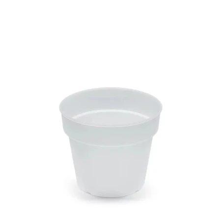 DONICZKA PLANTI PRZEŹROCZYSTY