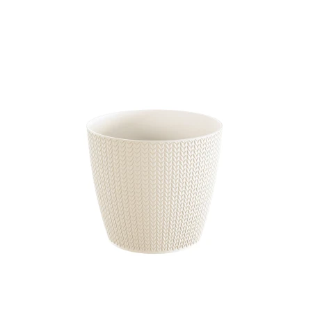 DONICZKA WHEATY KREM