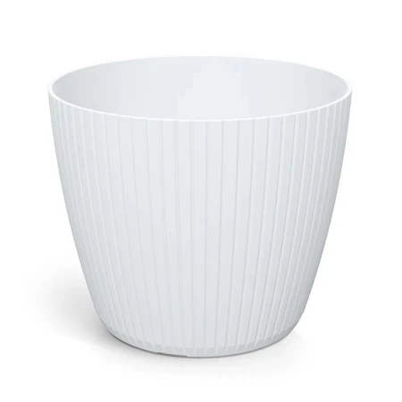 DONICZKA LAMIA BIAŁY