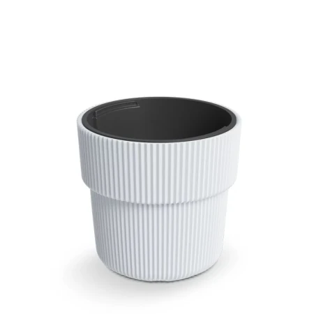 DONICZKA MILLY BIAŁY DBMIR