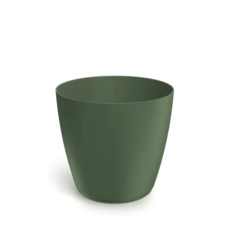 DONICZKA MATE ZIELONA PINIA