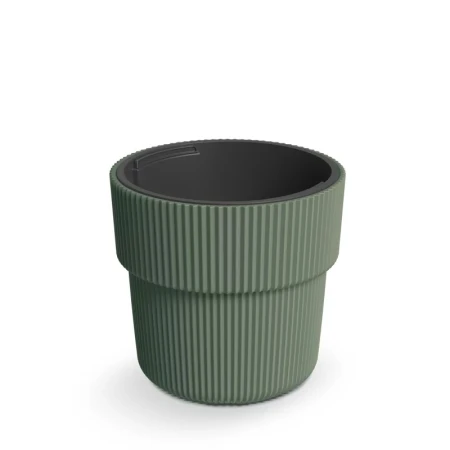 DONICZKA MILLY ZIELONA PINIA DBMIR