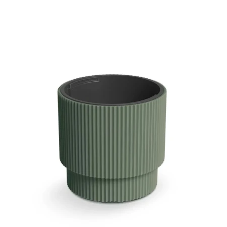 DONICZKA MILLY ZIELONA PINIA DBMIN