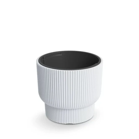 DONICZKA MILLY BIAŁY DBMLR