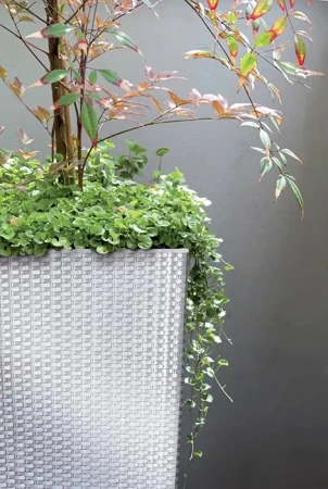 DONICZKA RATO SQUARE BIAŁY 2