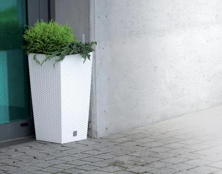 DONICZKA RATO SQUARE BIAŁY 4