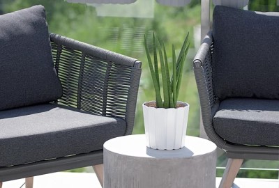 DONICZKA BOARDEE BASIC BIAŁY 2