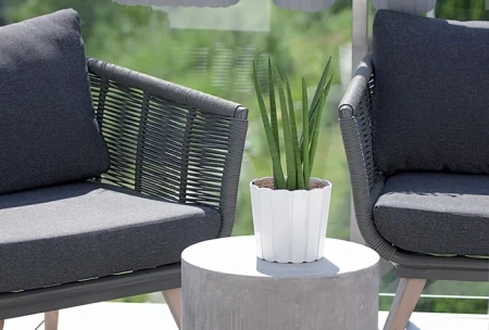 DONICZKA BOARDEE BASIC BIAŁY 2