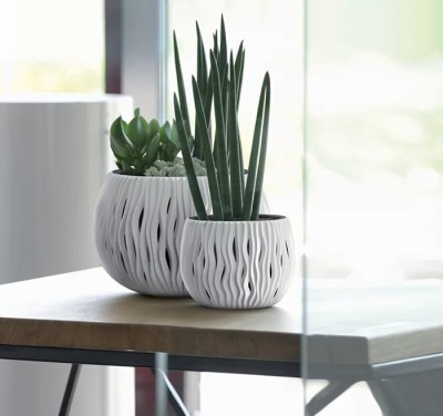 DONICZKA SANDY BOWL BIAŁY 2