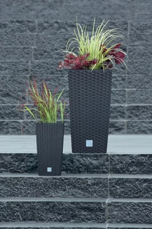 DONICZKA RATO SQUARE MOCCA 2