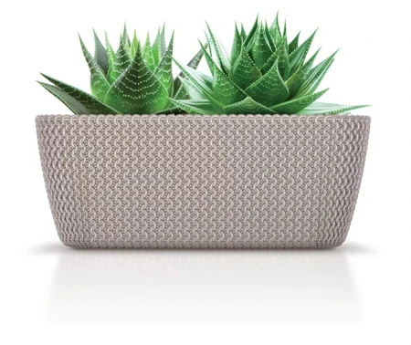 SKRZYNKA SPLOFY CASE MOCCA 2