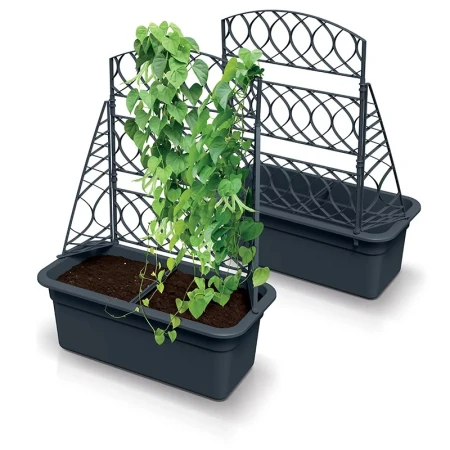 DONICZKA Z PERGOLĄ BLOMA ANTRACYTOWY 4