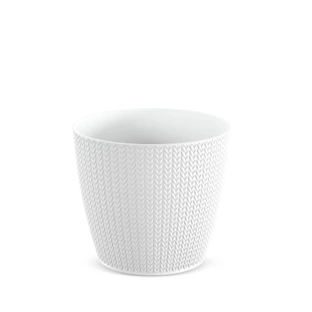 DONICZKA WHEATY BIAŁY