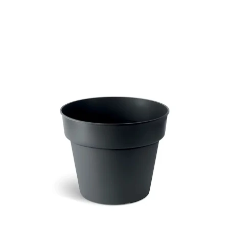 DONICZKA PLANTI CZARNY