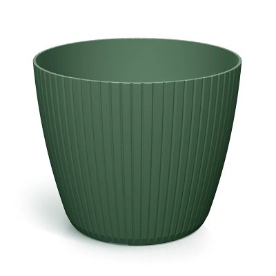 DONICZKA LAMIA ZIELONA PINIA