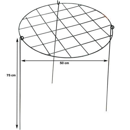 59082789938312