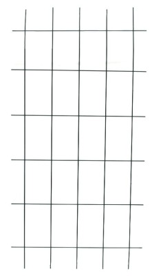 5908278919244