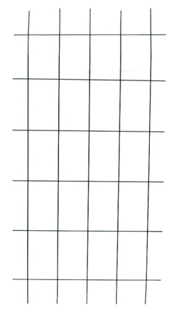 5908278919244