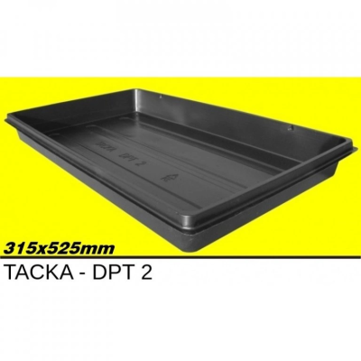 DPT2
