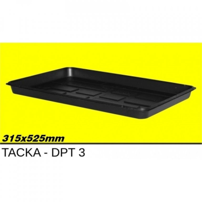 DPT3