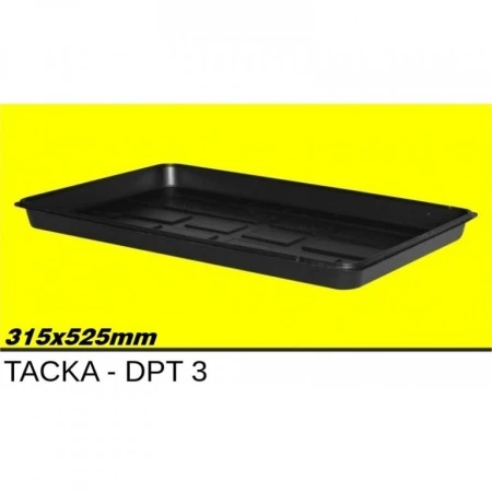 DPT3
