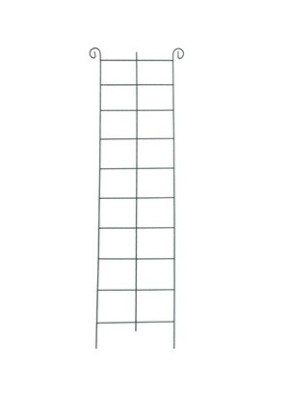 5907778338838