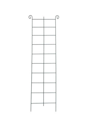 5907778338838