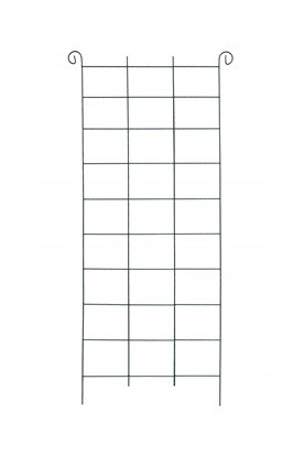 5907778338845