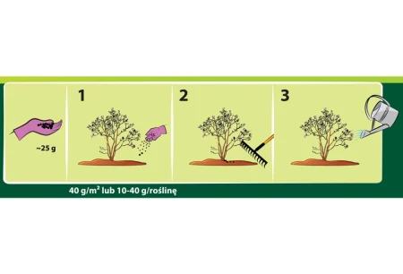 59082789745024