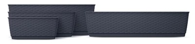 DONICZKA RATOLLA CASE P UMBRA 2