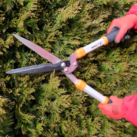 Nożyce gardenMAX 026D podczas strzyżenia żywopłotu z tui